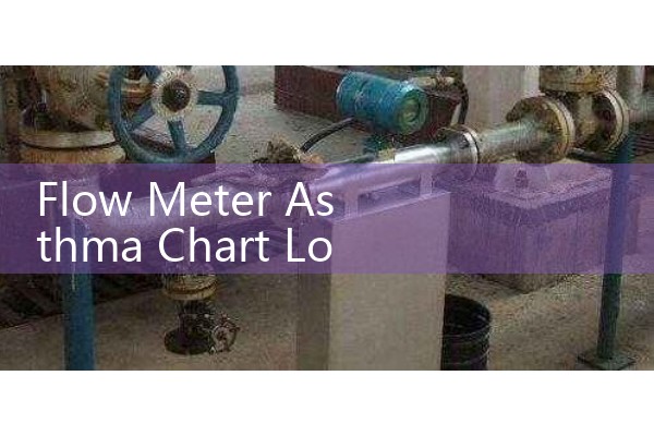 Flow Meter Asthma Chart Log: Tracking Daily Peak Expiratory Flow Rates at Home